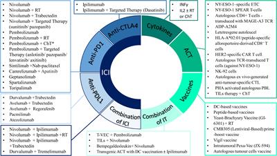 Exploring the landscape of immunotherapy approaches in sarcomas